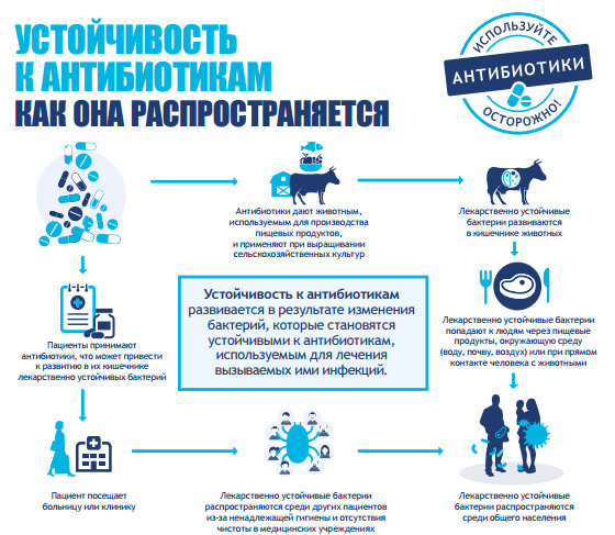 Бійтеся, мікроби: медики запропонували лікувати інфекції без антибіотиків