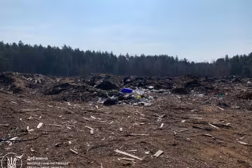 незаконна вирубка дерев