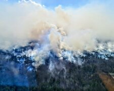 Пожежі в Житомирській області \\ фото з Twitter Арсена Авакова