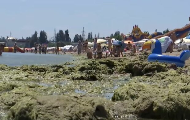 Пляж Чорного моря, скріншот: YouTube
