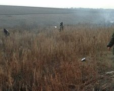 Милиция обнаружила 11 тысяч кустов конопли на Луганщине (фото)