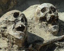 "Кричащие" скелеты: поляки сделали жуткую находку