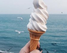 Чайка довела, що морозиво для їди, а не для селфі (фото)