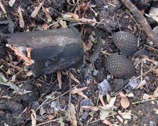 В Марьинском районе взорвали схрон боеприпасов (фото)
