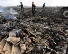 Катастрофа МН-17: у мережі показали перевізників Бука