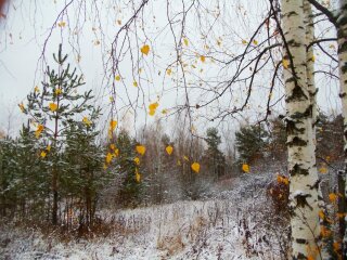 Погода в Украине, фото: ФотоКто