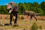 Динозавры, фото из открытых источников