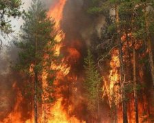 Из-за жары в Забайкалье горит десять тысяч гектаров