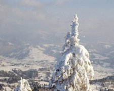 Сильнейшие ветра, дождь и гололедица будут радовать украинцев целую неделю, и это еще не все