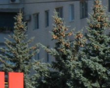 "Понавозвращались, мародеры": очередной криворожский маршрутчик возмутил сеть