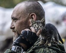 Украинские военные с котами, фото: Соцсети