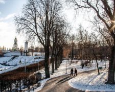 Несподівано: курс гривні продовжує дивувати