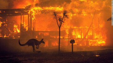 Пожежі в Австралії, фото: cnn.com