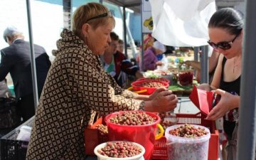 Сезонне жлобство: ціни на ягоди довели українців до інфаркту