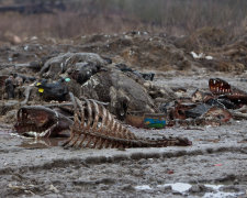 Київські забудовники отруїли Дніпро, місто на межі непоправної катастрофи