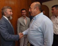 Новинский встретился с Министром иностранных дел Турции