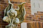 "Квартира Дракули": балкон киянина облюбувала сотня моторошних тварюк, - фото не для слабкодухих