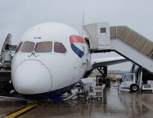 Boeing 787 British Airways Фото:Тwitter