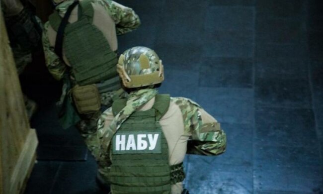 НАБУ підсумувало спецоперацію проти "бурштинової мафії"