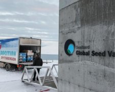 Глобальне потепління залишить людство без насіння