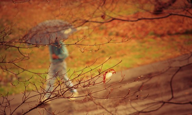 Потепления и морозы: украинцам сказали, чего ждать от октября