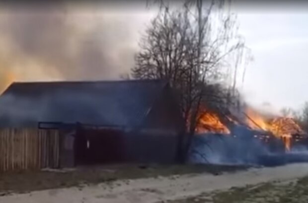 Пожар на Киевщине, фото Facebook