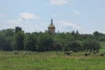 Фото: "Локальна історія"