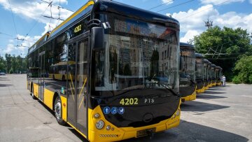 Петиція проти підвищення тарифів на проїзд у Києві