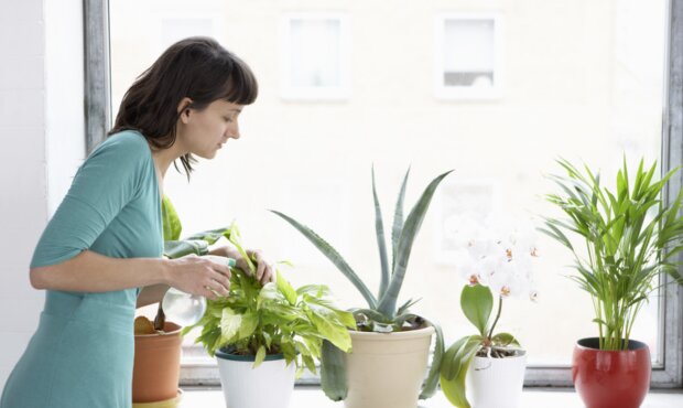 Жінка, яка доглядає кімнатні рослини