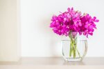 Квіти у вазі. Фото Freepik