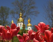 Що подивитися в Україні навесні: огляд красивих місць