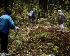 Супрун рассказала, как обращаться с грибами, чтобы не отравиться