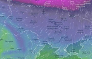 Погода в Україні на січень, скріншот: VentuSky