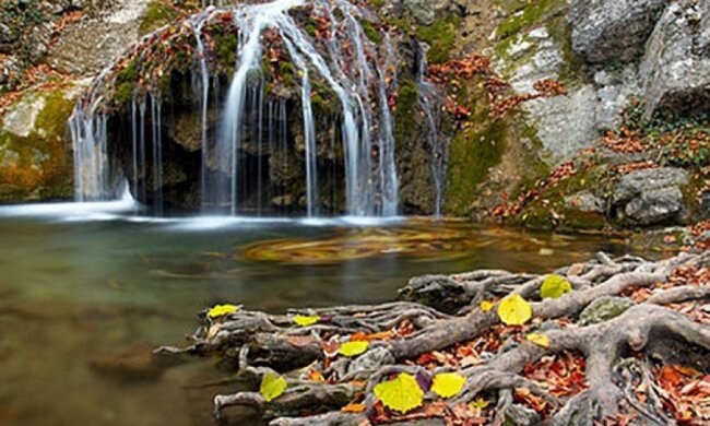 Утренние Карпаты: лучшие фотографии Украины по версии "Викимедиа" (фото)