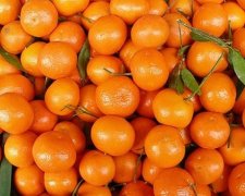 Стало известно, какой фрукт спасает от ожирения