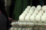 Ціни на курячі яйця, кадр з відео