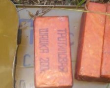 Тайник с боеприпасами нашли в Полтавской области