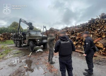 незаконна вирубка дерев