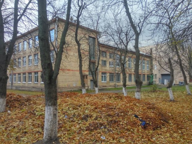 В Киеве отчаявшийся ребенок выпрыгнул из окна школы, горожане в ужасе: "Девочку затравили"