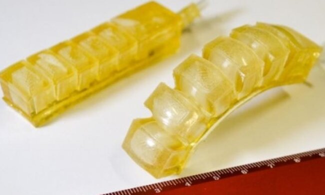 Їстівний робот допоможе в екстремальних ситуаціях