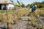 посуха город суха земля врожай