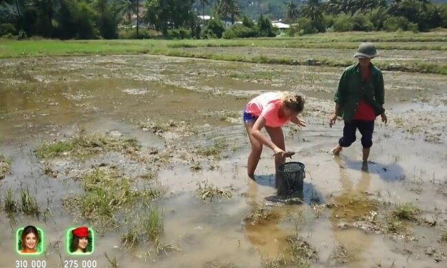 Заробитчане ради лишней копейки чистили уши прохожим и копались в фекалиях слонов