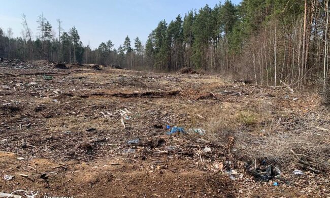 стихійне звалище \ фото Держекоінспекції Поліського округу