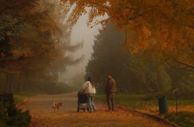 Почему нельзя сомневаться 7 ноября и кого нужно покормить сегодня: приметы и запреты на Феодота