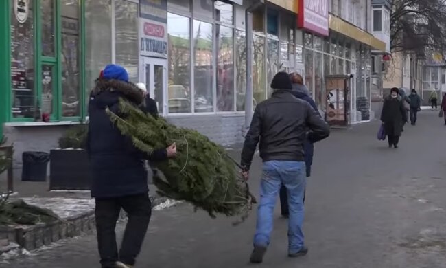 Ялинка. Фото: скрін youtube