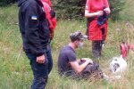 У Карпатах повзуча тварюка атакувала туриста - прогризла навіть берці