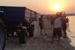 Медузи в Азовському морі, скріншот: YouTube