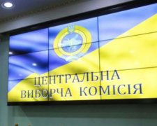 Організатори “сітки Порошенка” зареєстрували клона Зе-Кандидата по 95 округу