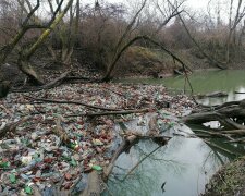 Тонни сміття поглинули легендарні річки, закарпатці не знаходять собі місця: "Треба діяти негайно!"