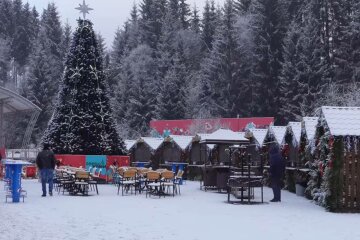 Карпати, фото: скріншот з відео